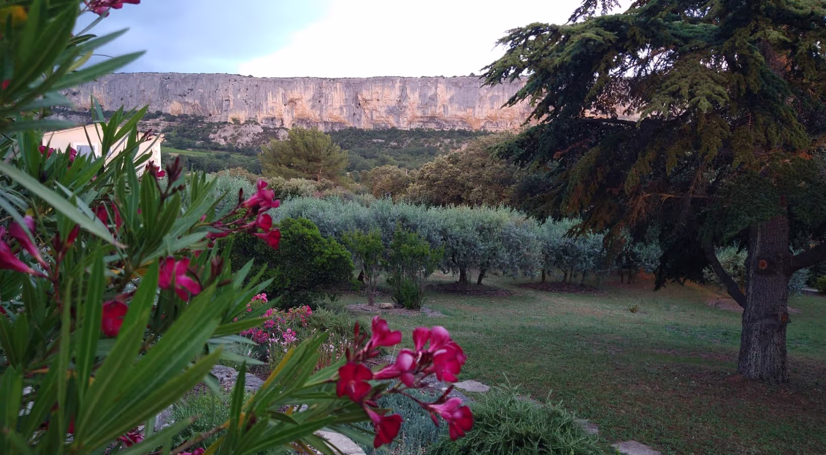 Extérieur et terrasse